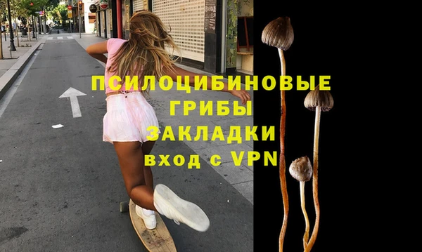 мяу мяу мука Алексеевка