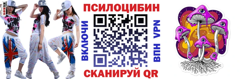 кракен ТОР Вилючинск Псилоцибиновые грибы Magic Shrooms